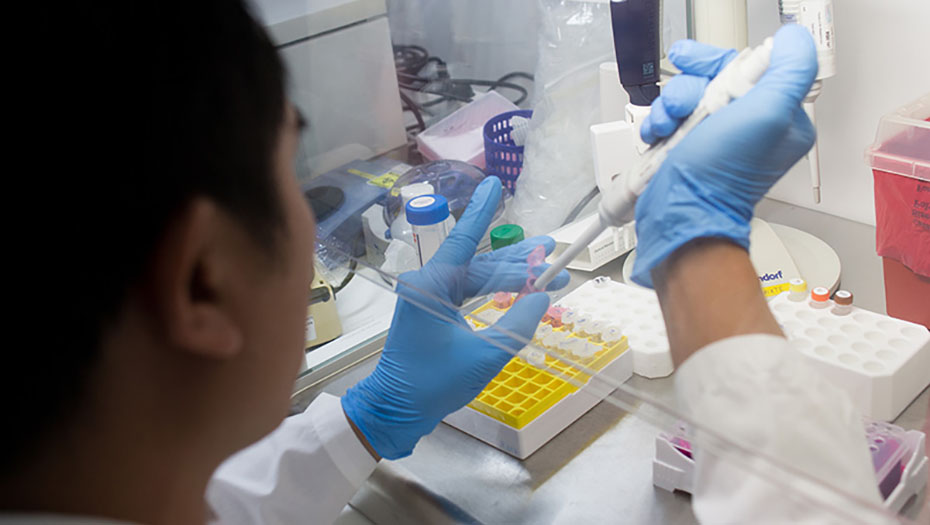 A lab technician wearing blue gloves uses a pipette to handle samples in a laboratory.