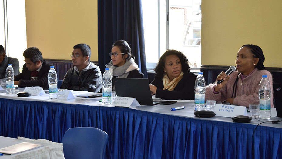 A group of participants seated at a conference table, listening to a woman holding a microphone speak, during a meeting in Madagascar.