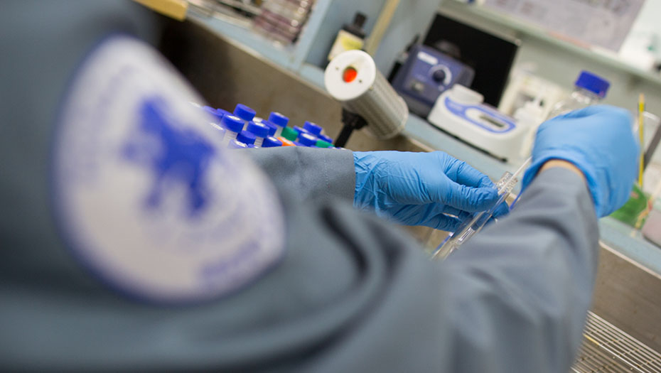 A lab technician wearing blue gloves handles samples in a laboratory, with various equipment and sampling tubes in the background.