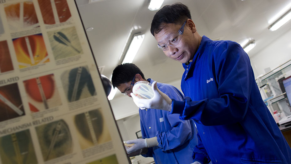 Two laboratory technicians in blue coats and protective glasses examine in a laboratory.