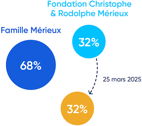 A graphic of the capital of the Mérieux Alliance company