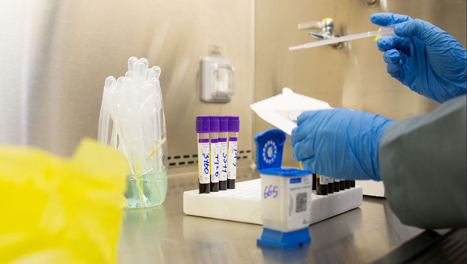 Mains gantées manipulant une pipette et des tubes à essai à bouchon violet dans un laboratoire avec un support blanc et du matériel de paillasse.