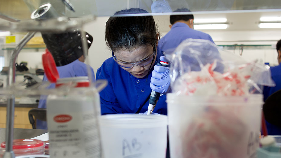 Personne en blouse bleue utilisant une pipette dans un laboratoire, avec du matériel scientifique et d’autres personnes en arrière-plan