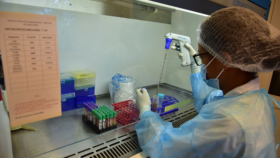 Personne en tenue de protection utilisant une pipette pour transférer du liquide dans des tubes à essai sur un plan de travail de laboratoire.