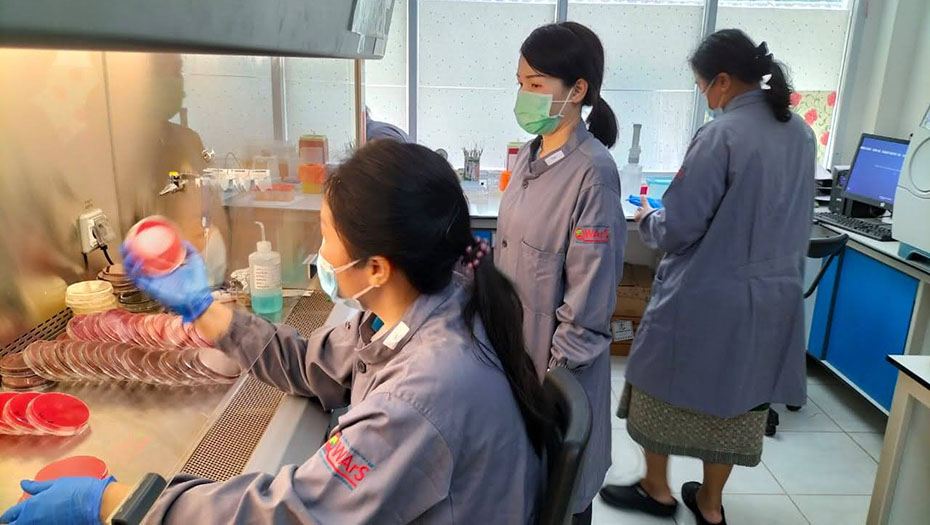 Trois personnes en blouse et gants de laboratoire manipulant du matériel, dont une assise devant des boîtes de pétri dans un laboratoire équipé.