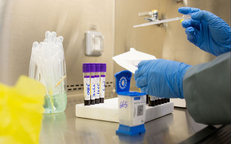 Gloved hands handling a pipette and blood sample tubes on a laboratory bench.