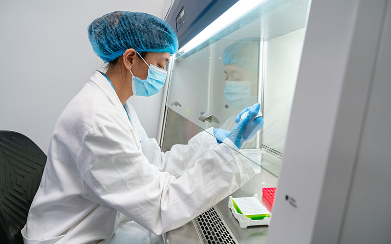 Person in lab coat, mask and cap handling tubes inside a laboratory biosafety cabinet.